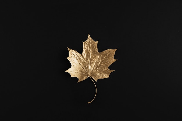 Shiny Golden maple leaf on black background