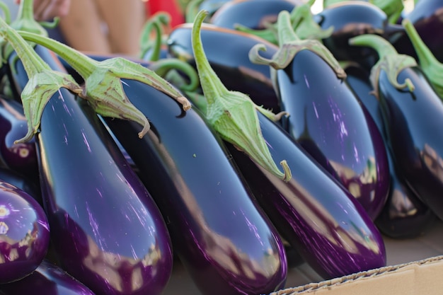 Photo shiny purple eggplants showcased at a vendors