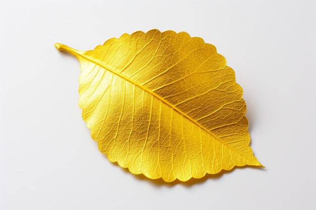 Shiny yellow leaf gold foil