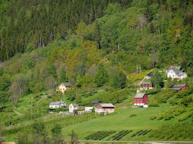 ship cruising in the fjords of norway