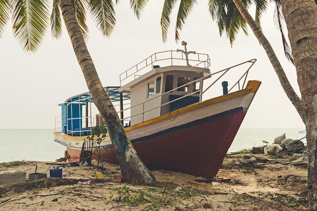 Shipwreck on a Beach