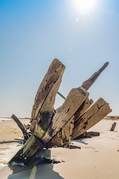 Un naufragio nel parco nazionale skeleton coast in namibia in africa.