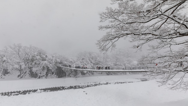 白川さんは雪の季節に行きます日本