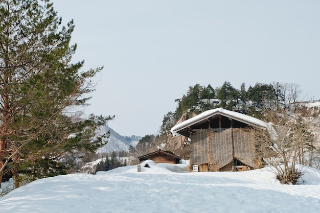 Ширакаваго, историческая зимняя деревня Японии.