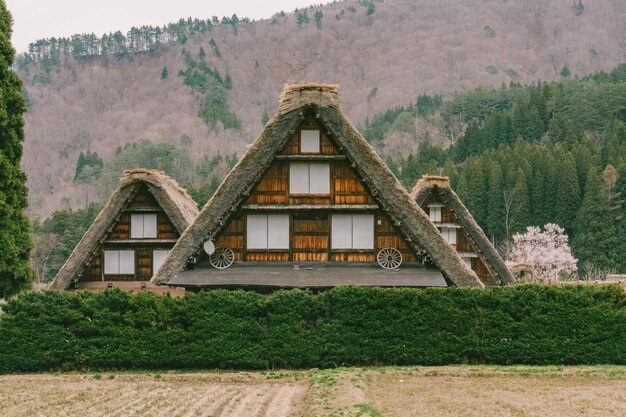 Foto shirakawago in primavera nella prefettura di gifu in giappone