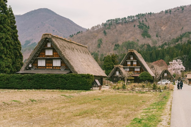 Photo shirakawago in spring gifu prefecture japan