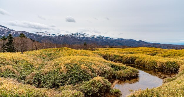 Shiretoko Goko Five Lakes area Rolling mountain range and wetland in high latitude country