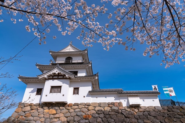 Shiroishi-kasteel met kersenbloesems en blauwe lucht