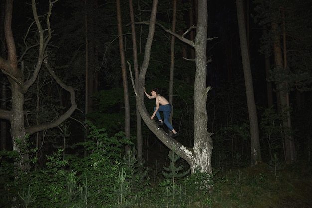 写真 シャツを着ていない若い男が夜に木に登っている