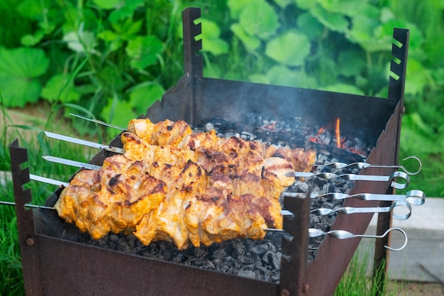 Shish kebab aan het koken op open vuur