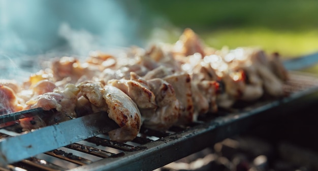 Shish kebab gemaakt van kip en gekookt op barbecue boven houtskool Traditioneel picknickvoedsel