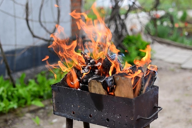 shish kebab vuur brandhout branden