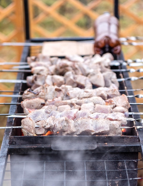 Shish kebabs on skewers are fried on a grill