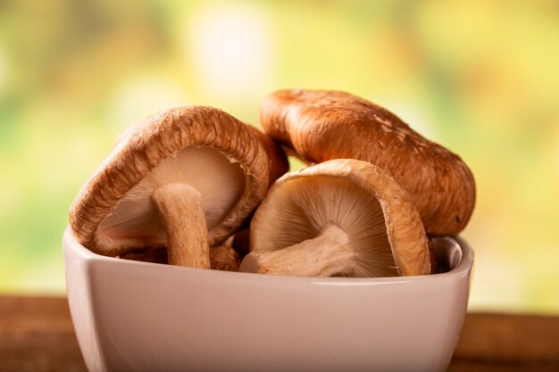 Shitake Mushroom on Wood Background