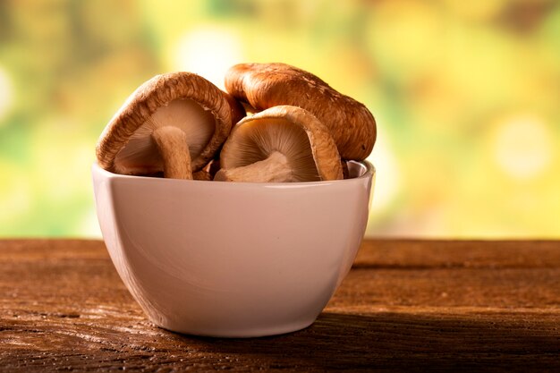 Shitake Mushroom on Wood Background