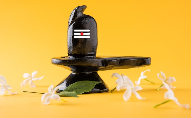 Shiva Linga decorated with flowers & bel patra or leaf and haldi kumkum for Pooja or worshipping of Lord shiva or Shankar bhagwan