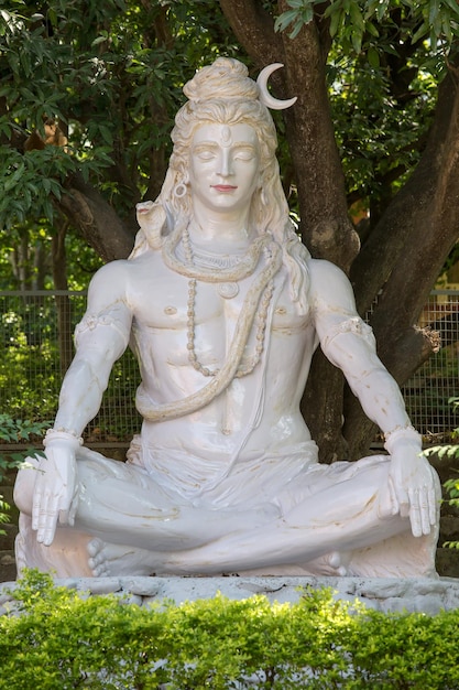 Shivastandbeeld in rishikesh india