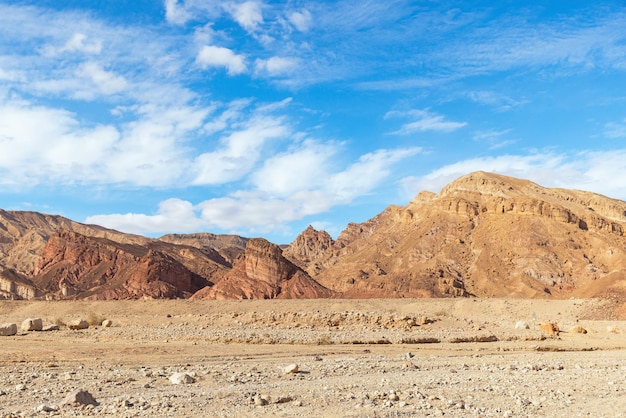 アラバ砂漠イスラエルのShkhoret峡谷