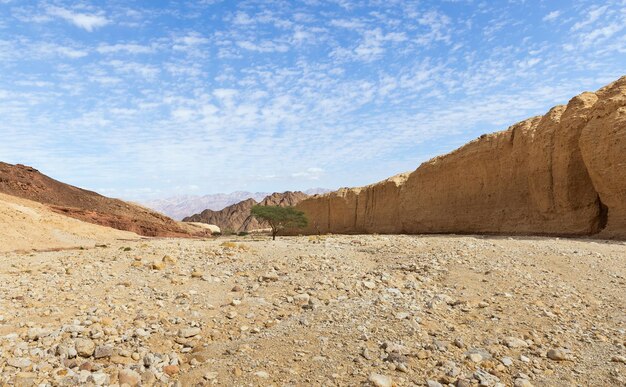 Shkhoret-kloof in de Arava-woestijn, Israël