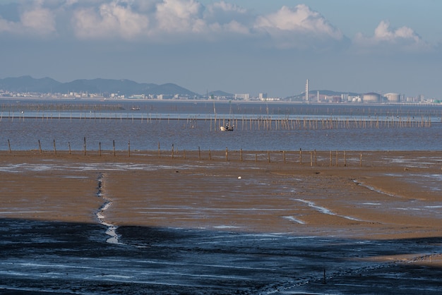 夕暮れの浅瀬、薄黄色の光と黒い土地