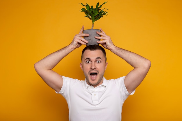 shocked man holding green houseplant in flowerpot on head on yellow