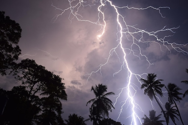 Photo shocking lightning at night.