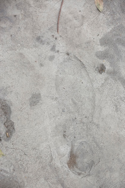 Shoe print foot print on dry cement