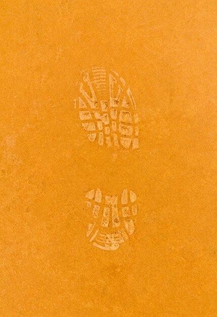 Photo shoe print1