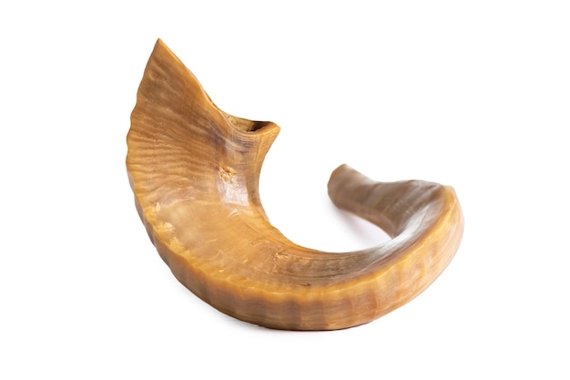 Shofar (corno) su sfondo bianco. rosh hashanah.yom kippur simbolo tradizionale della festa ebraica.