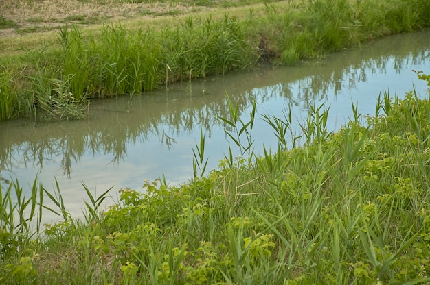 Съемка небольшой канавы, ручья в типичной сельской местности равнины Падана, используемой для орошения полей.