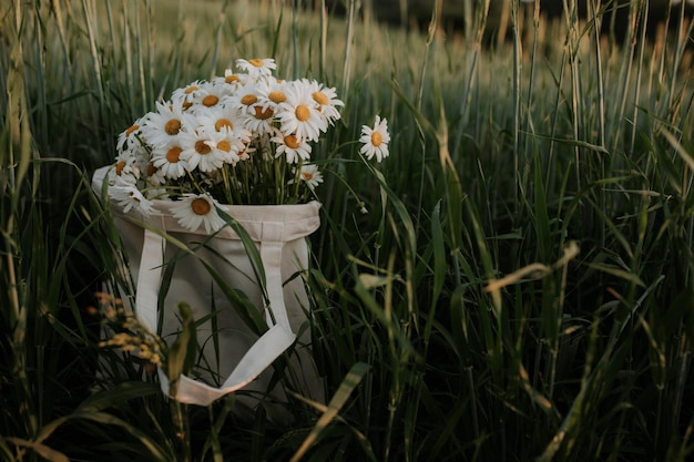 Photo a shopper bag filled with daisies stands in a green field