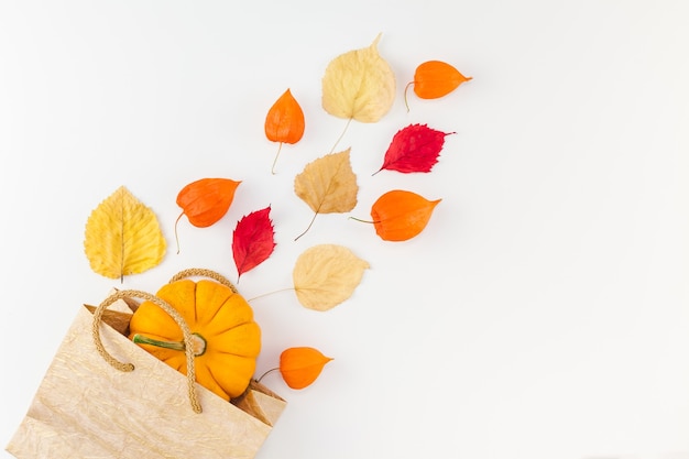 Shopping bag with dried orange flowers and autumn leaves