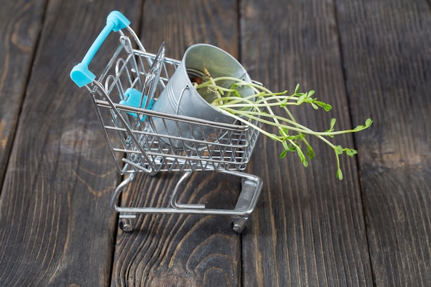 in the shopping basket a bucket with sprouts