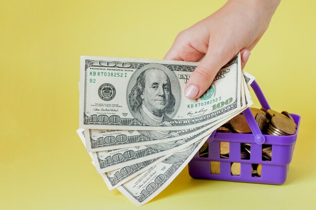 Shopping basket with coins and dollar bills in hands