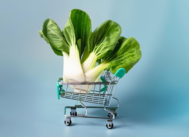Shopping cart healthy food for good health vegetable