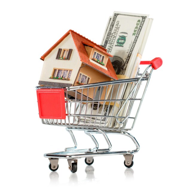 shopping cart and house isolated on white background