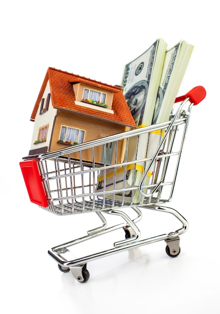 shopping cart and house on a white background