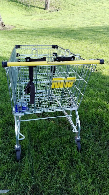 Shopping cart in park