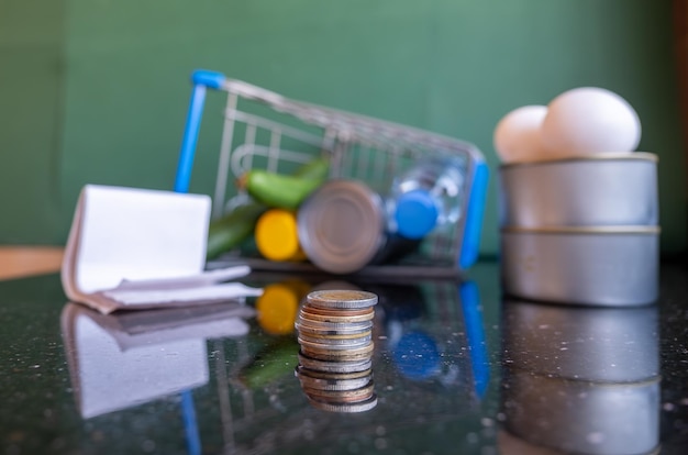 Shopping cart represents the costs of living holding house supplies