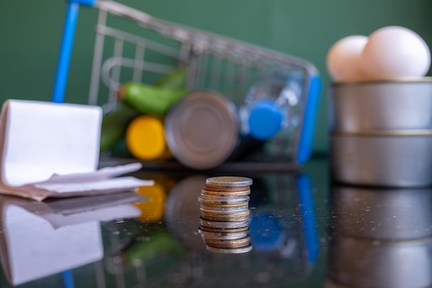 Shopping cart represents the costs of living holding house supplies