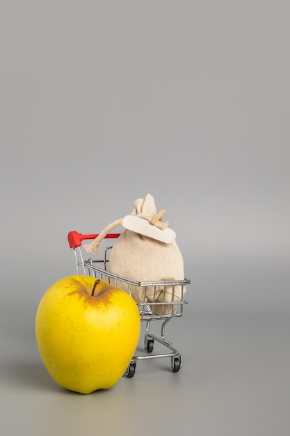 Shopping cart with food to do business