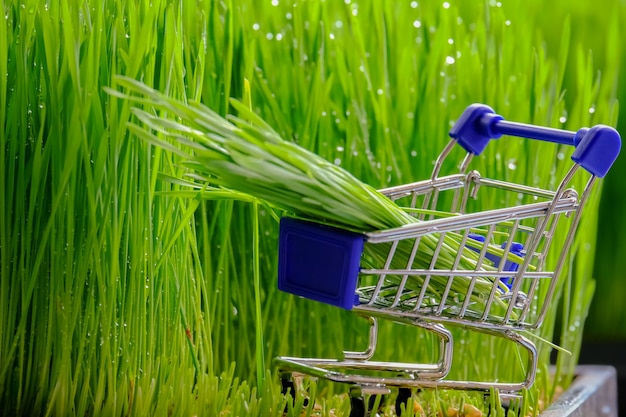 Photo shopping cart with green grass put on background