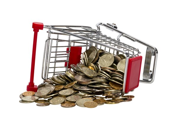 Shopping Cart with money isolated on white background