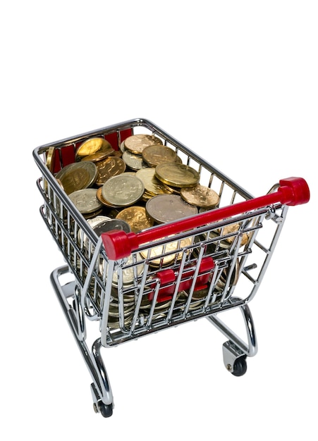 Shopping Cart with money