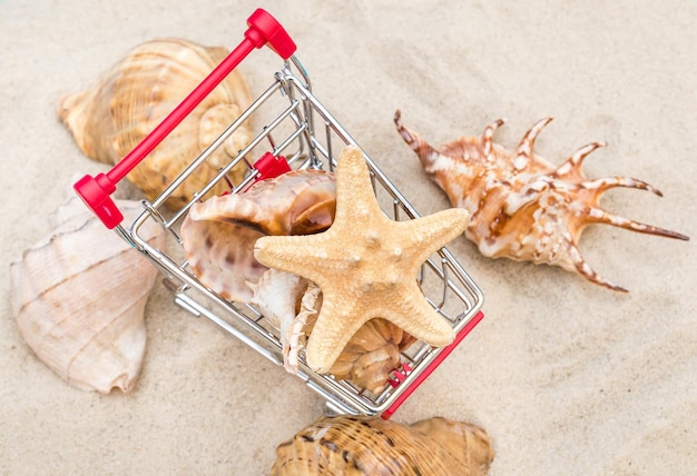 Shopping cart with seashells on the sand Top view Vacation concept