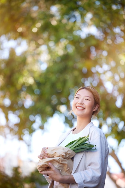 사진 친환경 가방 시장 판매 제품 또는 상업 상점 거래를 통해 고객의 쇼핑 야채 및 식료품 모형