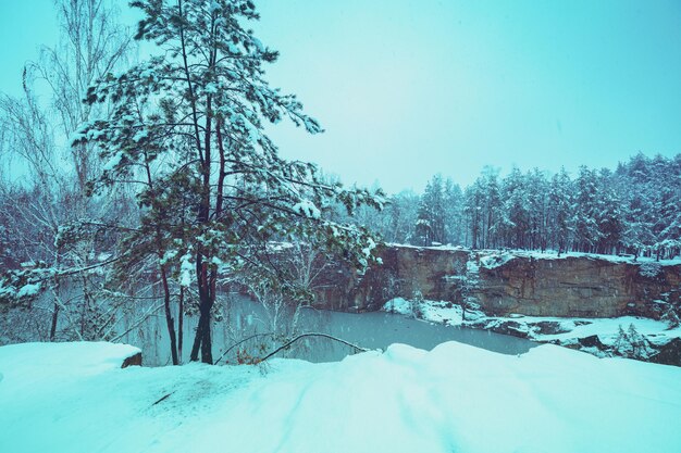 湖の岸は冬に雪で覆われている雪の冬の美しい湖の景色