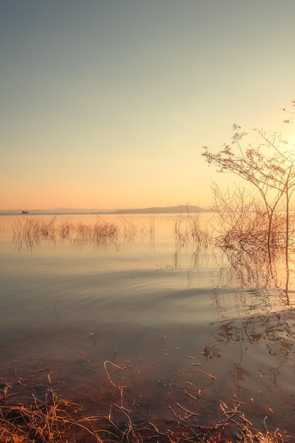 Photo on the shore of the lake in the late afternoon