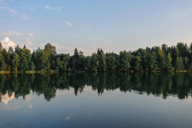 On the shore of the lake