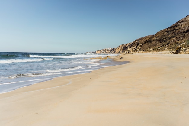 shore of the ocean, background